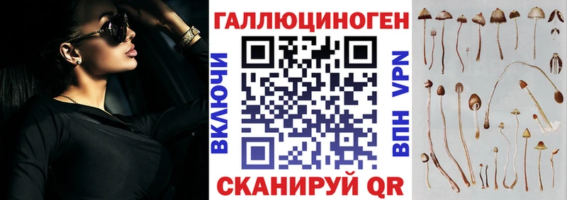 blacksprut как зайти  Александровск-Сахалинский  Галлюциногенные грибы мухоморы 